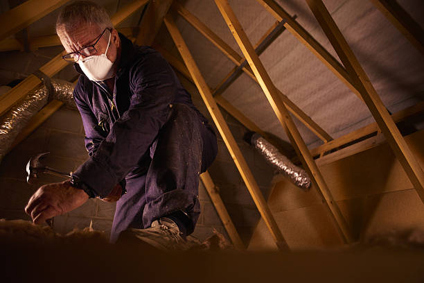 Types of Insulation We Offer in Sun Prairie, WI